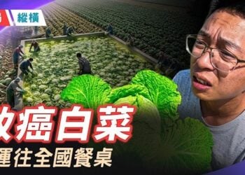 【時局縱橫】甲醛白菜只是冰山一角：一年查辦2.3萬件食品添加劑濫用案，你敢吃嗎？ 主持 :黃蓉    