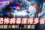 香港希望之聲