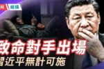 香港希望之聲