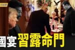 香港希望之聲