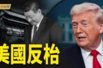 香港希望之聲
