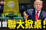 香港希望之聲