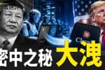 香港希望之聲