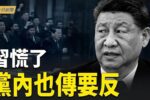 香港希望之聲