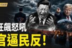 香港希望之聲