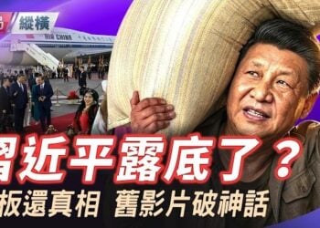 【時局縱橫】一不小心露底了！？習去埃及刷存在感，埃及人講真話：只有一個中國。習亦講了唯一一次真話。主持 芬妮     