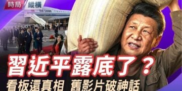 【時局縱橫】一不小心露底了！？習去埃及刷存在感，埃及人講真話：只有一個中國。習亦講了唯一一次真話。主持 芬妮     