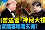 香港希望之聲