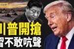 香港希望之聲